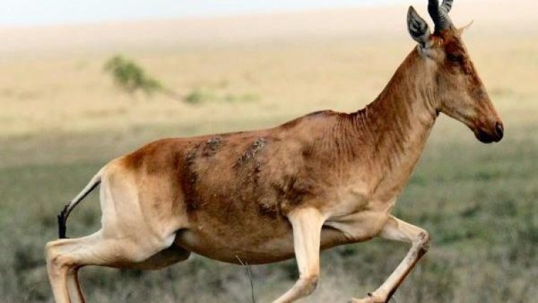 Riverdam neemt meerderheidsbelang in Aexus