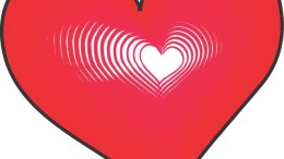 Xeltis haalt 45 miljoen op voor herstel hartkleppen