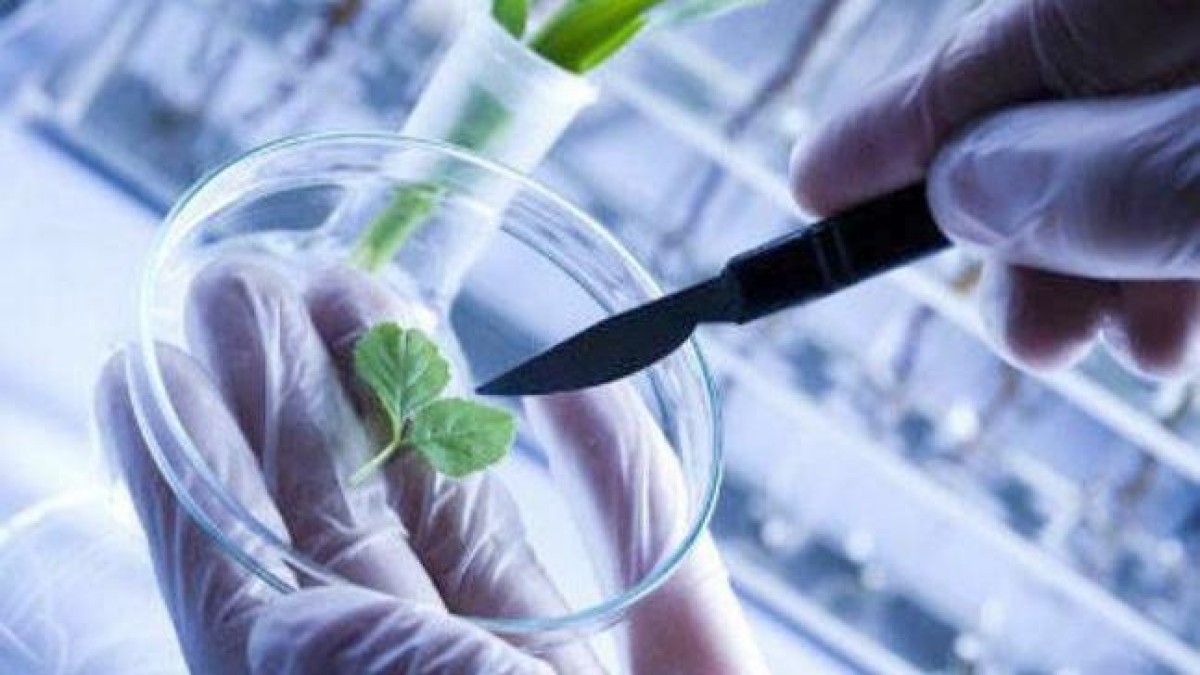 Grote slag voor Amsterdamse biotechbelofte