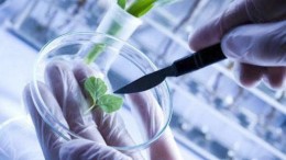 Grote slag voor Amsterdamse biotechbelofte