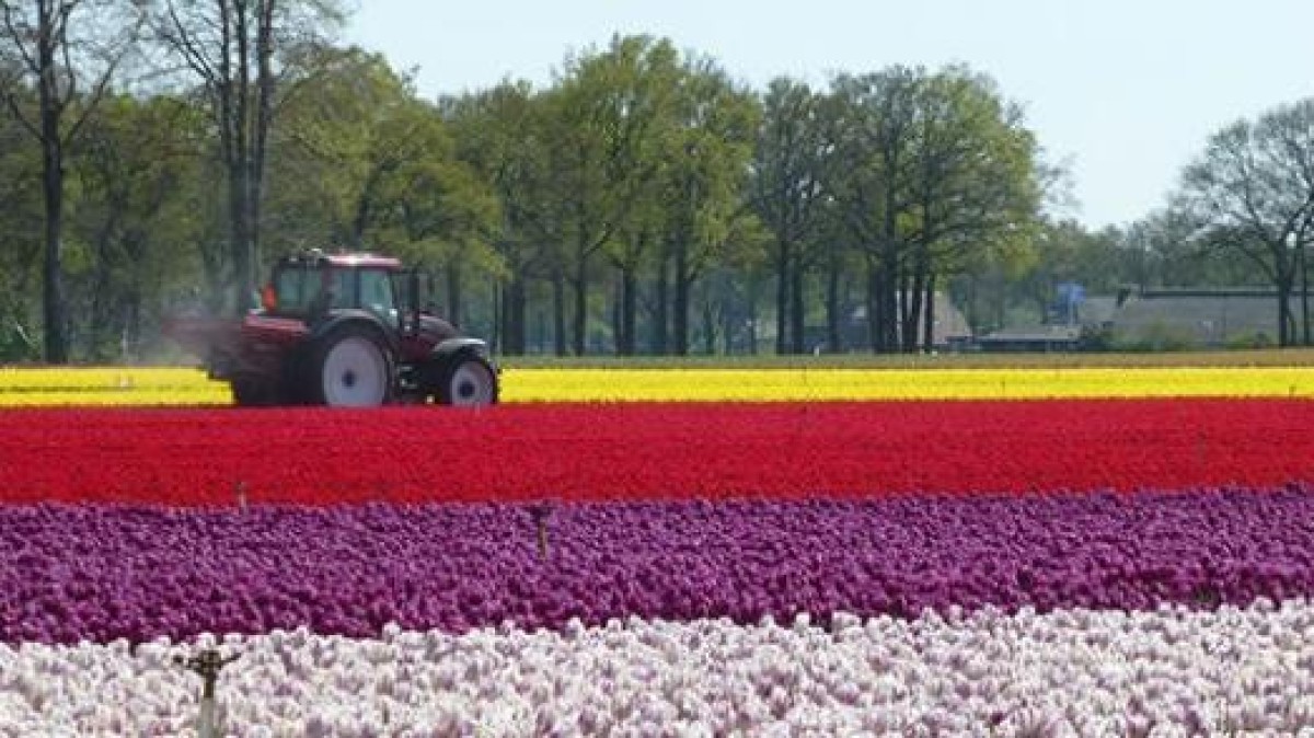 ASR neemt Landgoed Junne over