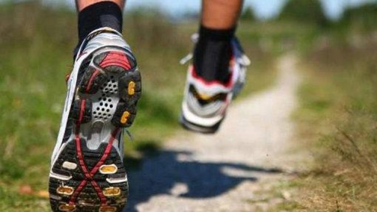 Moederbedrijf van Scapino staat te koop