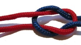 Bestuur Air France-KLM praat over structuur