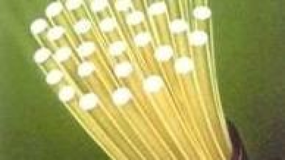 Houthoff Buruma, KPMG Meijburg en PwC adviseren bij deal Reggeborgh en Doughty Hanson