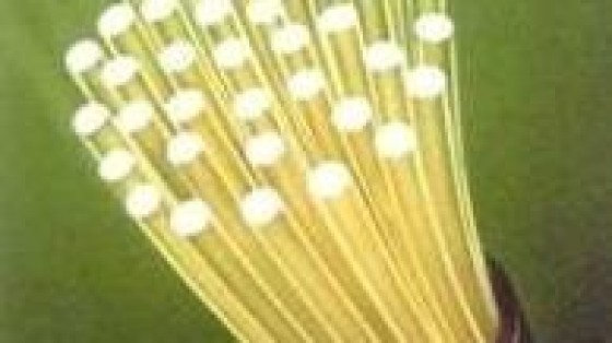 Houthoff Buruma, KPMG Meijburg en PwC adviseren bij deal Reggeborgh en Doughty Hanson