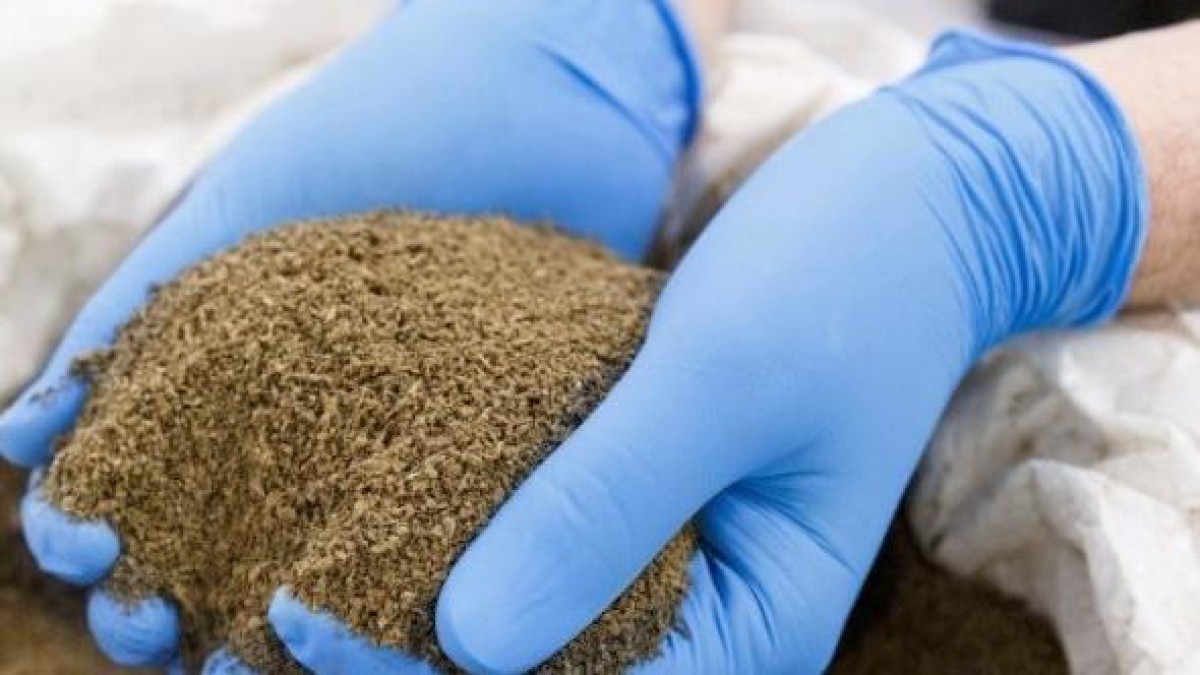 Invest International belegt in Nederlandse eiwitfabriek