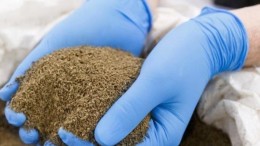 Invest International belegt in Nederlandse eiwitfabriek