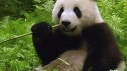 Robeco start Aziatisch private equity fonds voor rendement op milieu