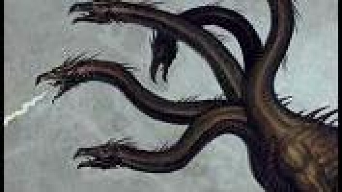 Brussel beticht AB InBev van machtsmisbruik