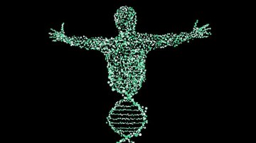 SalesManager Software neemt 4CIS over