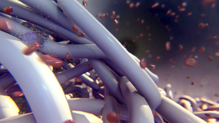 Xeltis haalt €15 miljoen Europees geld op