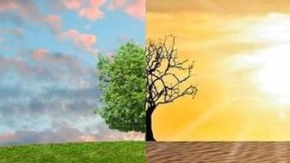 Ruil schulden arme landen in voor klimaatmaatregelen