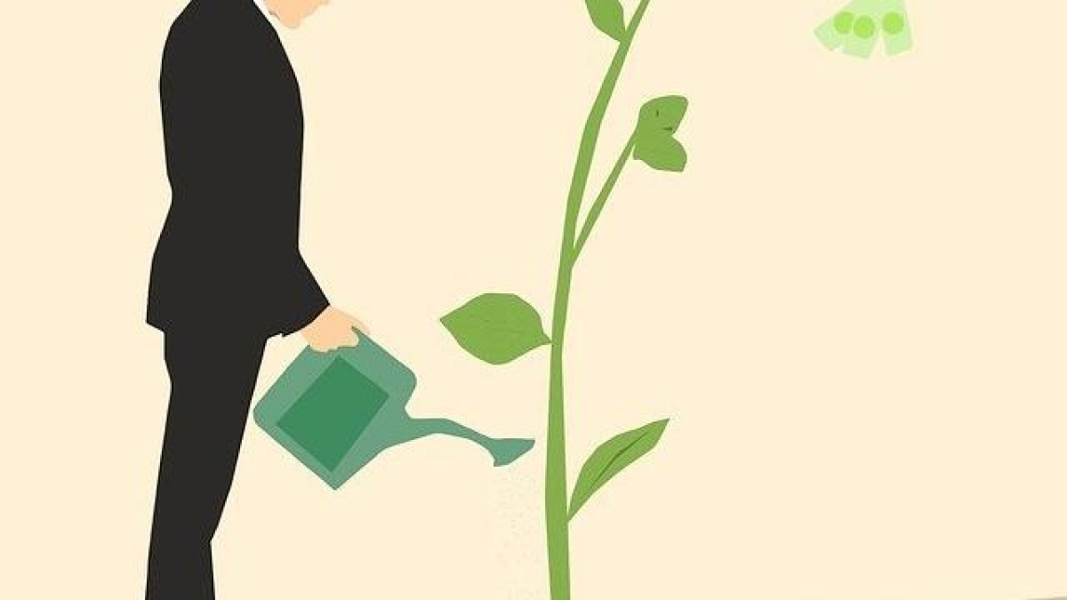 PlantLab haalt miljoeneninvestering binnen voor duurzame teelt