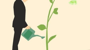 PlantLab haalt miljoeneninvestering binnen voor duurzame teelt