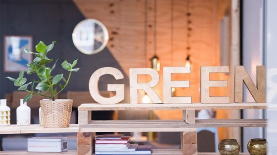 Alfa neemt Green Accountants in Groningen over