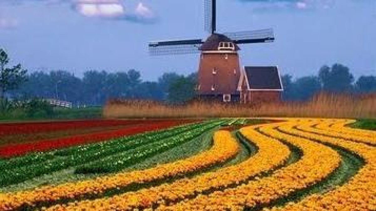 Baker & McKenzie: Nederlandse M&A activiteit verviervoudigt bijna komende drie jaar