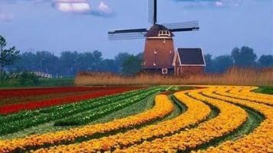 Baker & McKenzie: Nederlandse M&A activiteit verviervoudigt bijna komende drie jaar