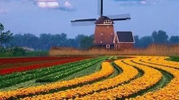 Baker & McKenzie: Nederlandse M&A activiteit verviervoudigt bijna komende drie jaar