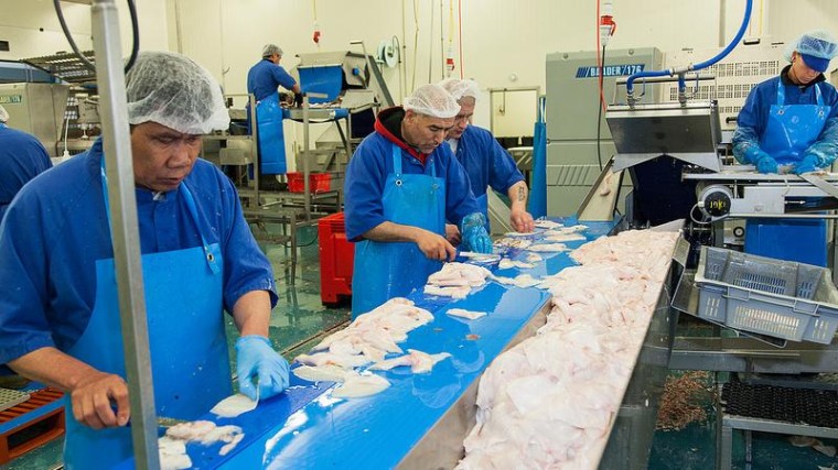 Opvolgingsvraag drijft Urker visbedrijf in Japanse handen