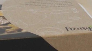 Kapitaalinjectie voor Freasy