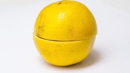 Staat in beroep tegen besluit rechter over fusie PostNL en Sandd