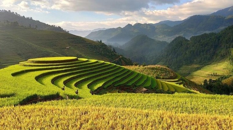 APG en bpfBouw investeren driekwart miljard in klimaat