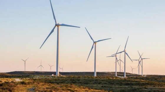 In Duitsland zitten bedrijven voor groene energie diep in de problemen