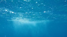 MKB Nedsense verkoopt AquaServa/BioBeheer