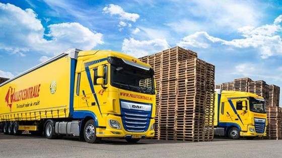 Foresco Group neemt Palletcentrale uit Moerdijk over
