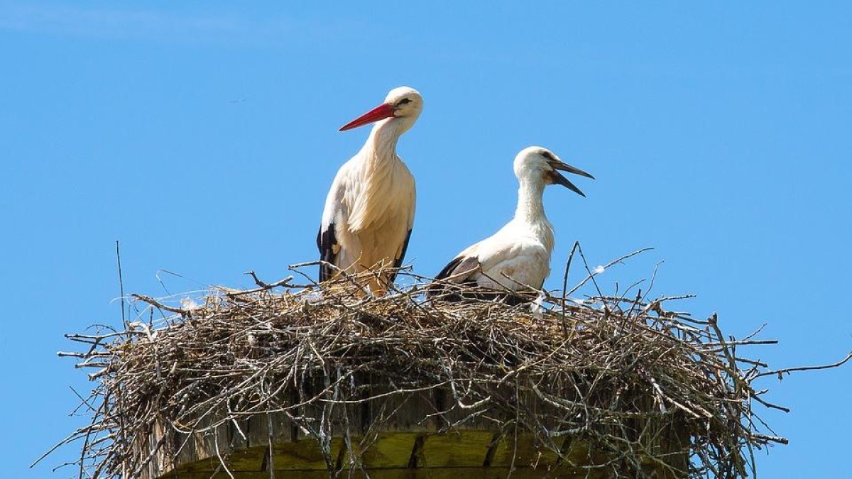 Vier nieuwe fintech startups onder vleugels ING’s Innovation Studio