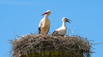 Vier nieuwe fintech startups onder vleugels ING’s Innovation Studio