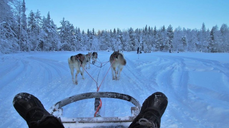Curiosity investeert in Finse klimaatregelaar