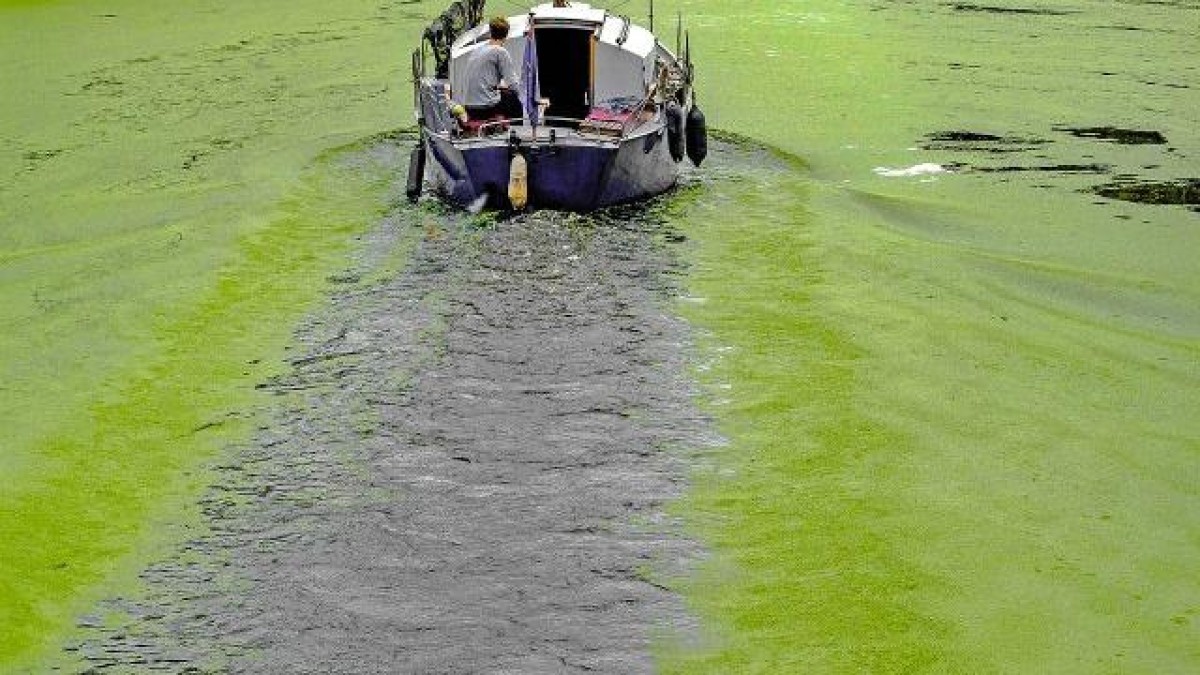 Groeigeld voor Veenendaalse algenkweker