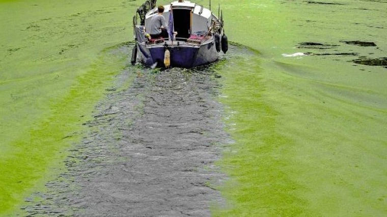 Groeigeld voor Veenendaalse algenkweker