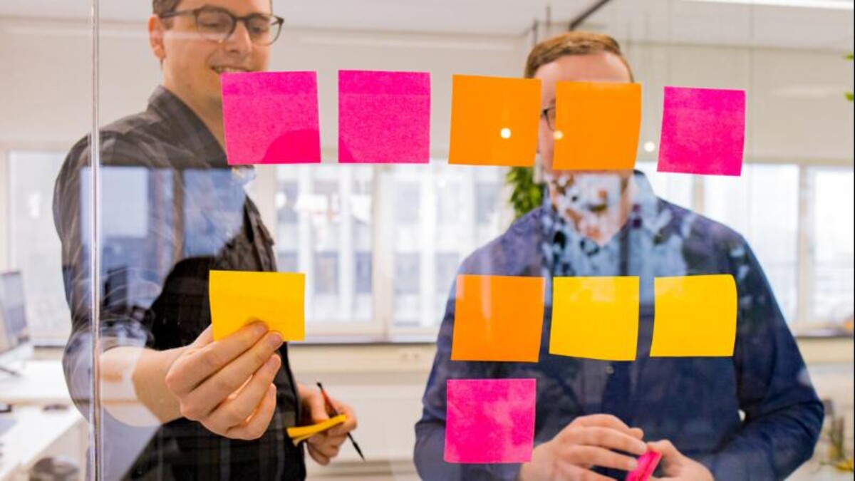 Opleidingsbedrijf ANewSpring doet eerste overname onder investeerder Nedvest.