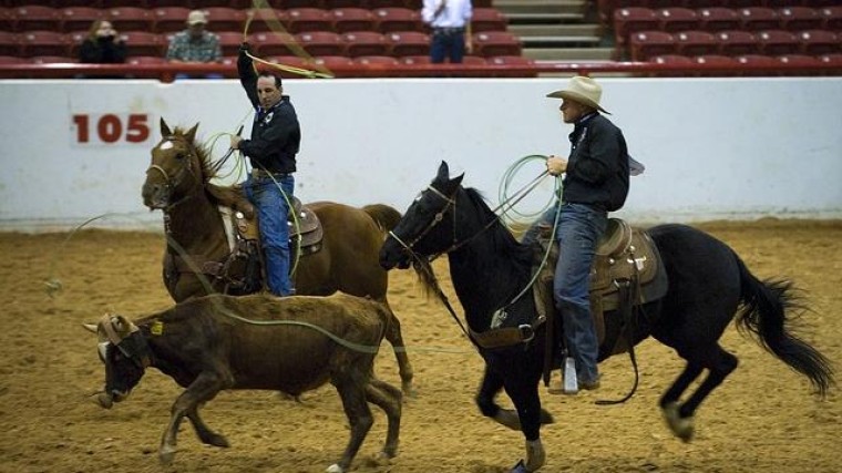 'Jacht op verzekeraar Vivat'