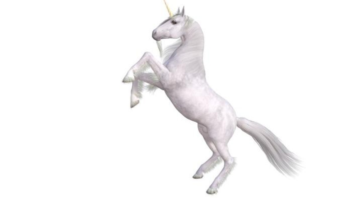 Insider trekt 121 miljoen dollar aan