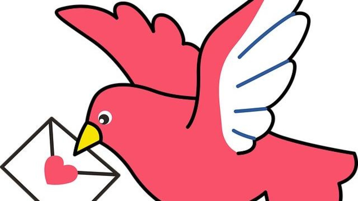 MessageBird biedt door overname ook videochat aan