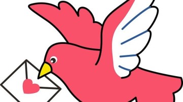 MessageBird biedt door overname ook videochat aan