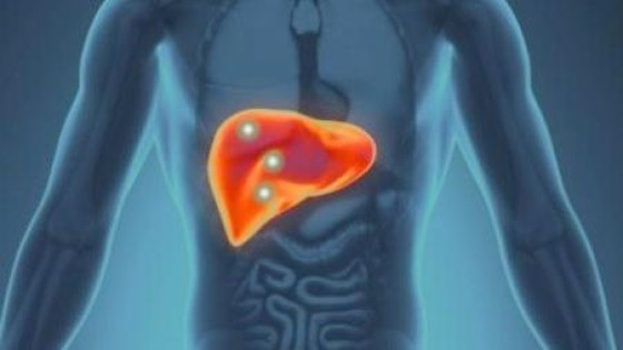 Olympus koopt midcapfonds Quest