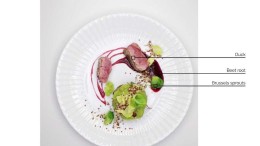 Twee nieuwe deelnemingen Newion