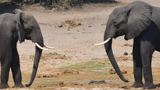 De 10 meest vijandige overnames ooit in kaart gebracht