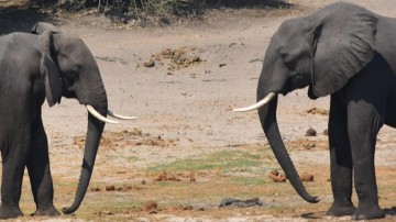 De 10 meest vijandige overnames ooit in kaart gebracht