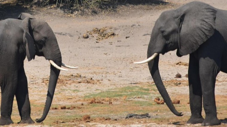 De 10 meest vijandige overnames ooit in kaart gebracht