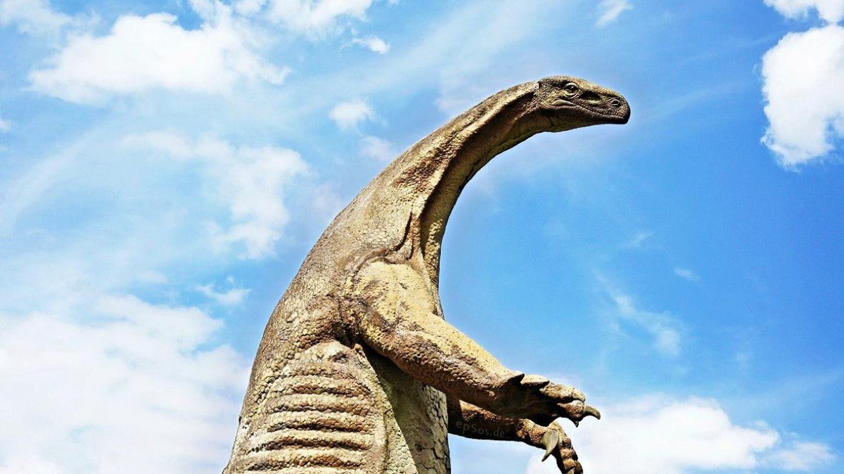 Private-equityfondsen overstromen met monsterbedragen