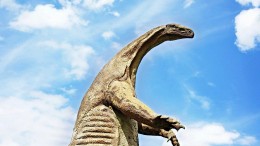 Private-equityfondsen overstromen met monsterbedragen