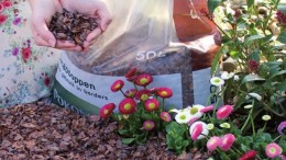 Nederlands Pokon komt in Britse handen