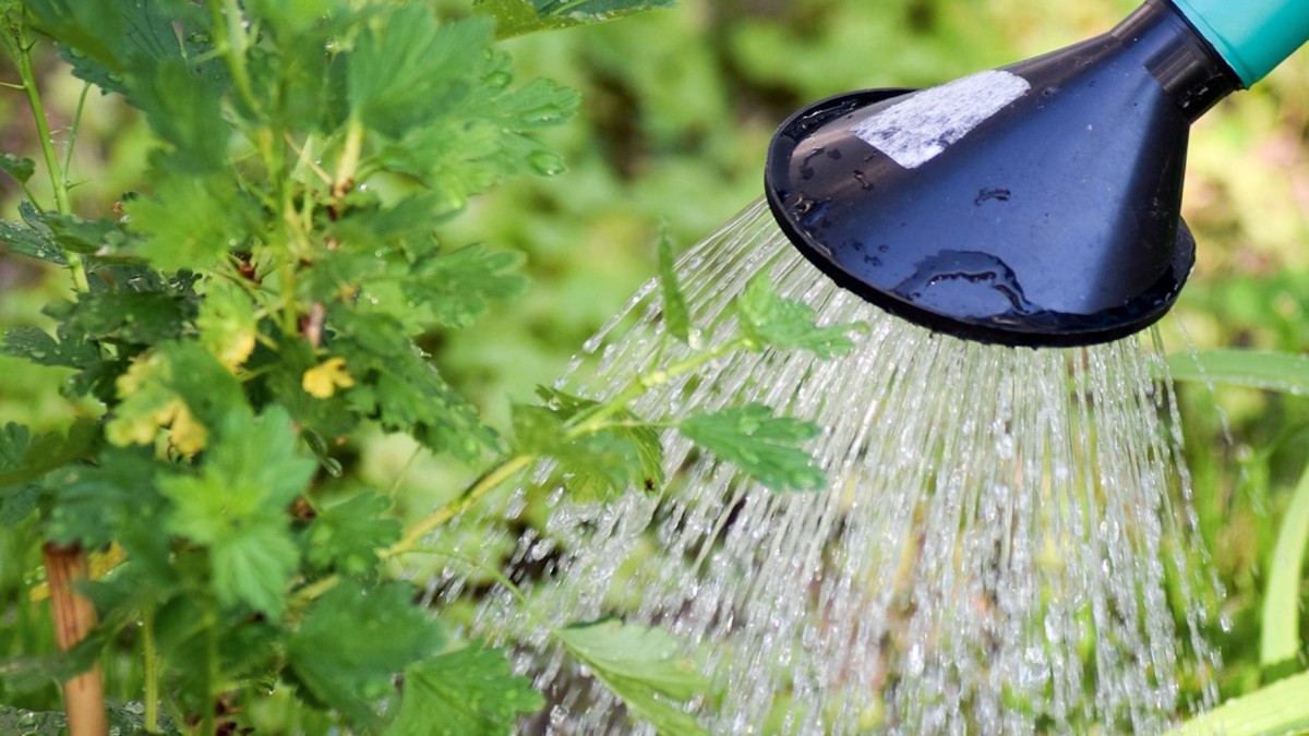 Co-investeringen private equity vertienvoudigd sinds 2012