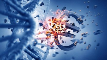 Versnel IT-separaties bij life science deals