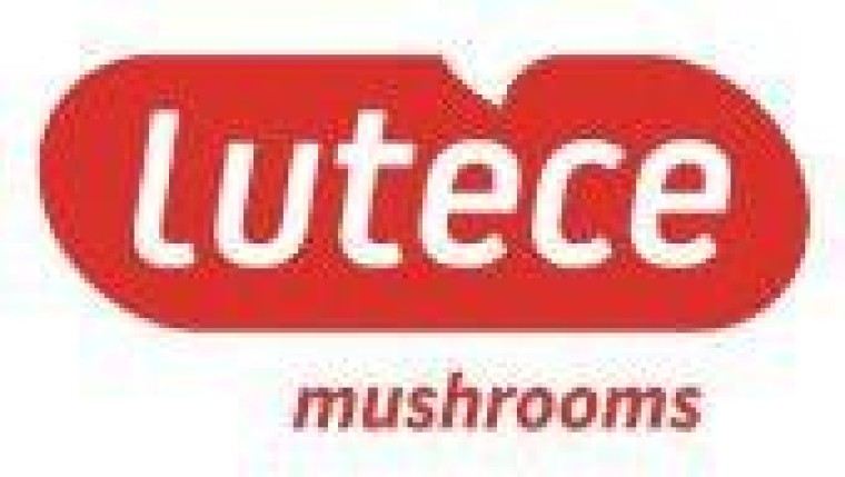 Belgen kopen Nederlandse champignonverwerker